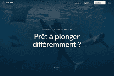 Blue Mind Expeditions — Expéditions de plongée et science participative : requins, raies manta et conservation marine, site créé par Altilink